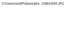 wpe18d87c7_0f.jpg